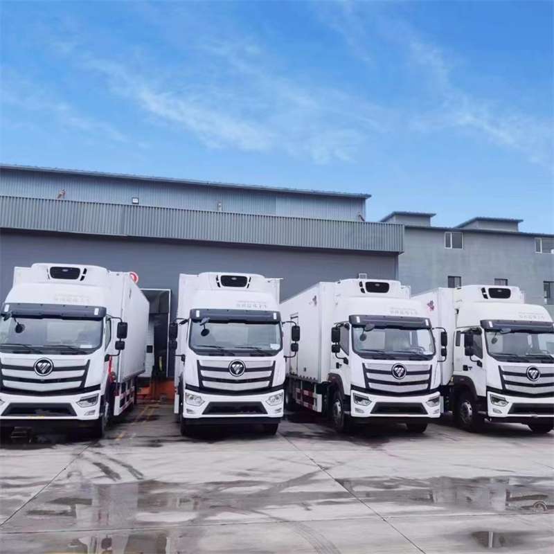 会东县新龙县进仓物流：多元专线直达运输探秘